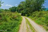 51.20 Ac Bethabara Road - Photo 12