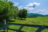 51.20 Ac Bethabara Road - Photo 16