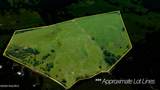 51.20 Ac Bethabara Road - Photo 2