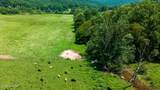51.20 Ac Bethabara Road - Photo 5