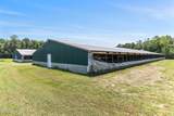 3848 Rooks Road - Photo 24
