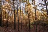 66 Choctaw Ridge Trail - Photo 4