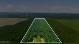 0 Spain Farm Road - Photo 2