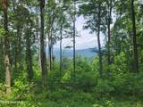 Lot 81 Scenic Mountain Way - Photo 2