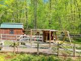 8 Stoney Brook Trail - Photo 47