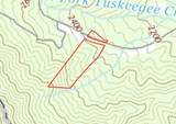 00 Upper Tuskeegee Road - Photo 8