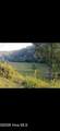 2231 Camp Creek Road - Photo 4