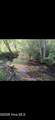 2231 Camp Creek Road - Photo 5