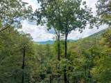 205 Copper Mountain Drive - Photo 2