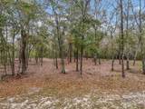 584 Asphodel Drive - Photo 1