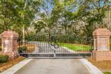 584 Asphodel Drive - Photo 10