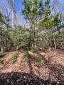 Lot 2 Morris Creek Road - Photo 2