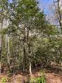 Lot 2 Morris Creek Road - Photo 3