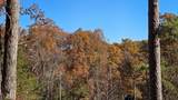 62 Green Cove Spur - Photo 18
