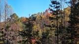 62 Green Cove Spur - Photo 42