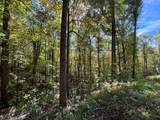 2 lots Holly Ridge Road - Photo 2