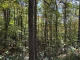 2 lots Holly Ridge Road - Photo 3