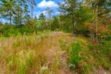 00 Mountain Watch Lane - Photo 10