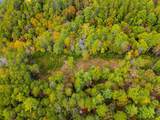 00 Mountain Watch Lane - Photo 17
