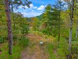 00 Mountain Watch Lane - Photo 4