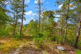 00 Mountain Watch Lane - Photo 7