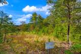 00 Mountain Watch Lane - Photo 8