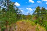 00 Mountain Watch Lane - Photo 9