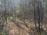 1894 Sunset Cove Drive - Photo 4