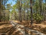 0 Odum Drive - Photo 30