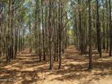 0 Odum Drive - Photo 34