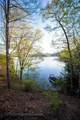 10 Santeetlah Lakeside - Photo 5