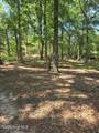 1105 Cedar Road - Photo 8