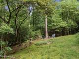 221 Chatto Loop - Photo 63