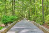 1169 Sabel Loop - Photo 80