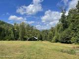 575 Vestal Cochran Road - Photo 101