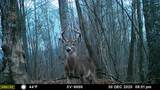 575 Vestal Cochran Road - Photo 45