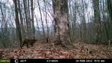 575 Vestal Cochran Road - Photo 51