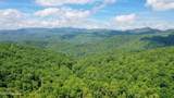 575 Vestal Cochran Road - Photo 69