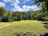 575 Vestal Cochran Road - Photo 82