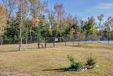 237 Sabal Pond Way - Photo 102