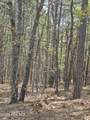 4 Brassie Lane - Photo 2