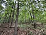 Lot 3a Elberton Highway - Photo 10