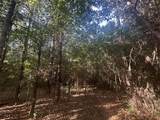 Lot 3a Elberton Highway - Photo 12