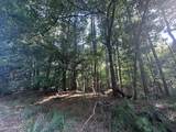 Lot 3a Elberton Highway - Photo 15