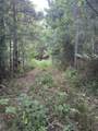 Lot 3a Elberton Highway - Photo 4