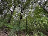 Lot 3a Elberton Highway - Photo 5