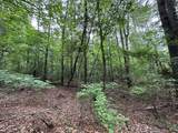Lot 3a Elberton Highway - Photo 9