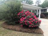 47 Buena Vista Avenue - Photo 67
