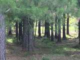 144 Colleton Circle - Photo 20
