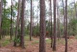 3231 Orchard Creek Road - Photo 12